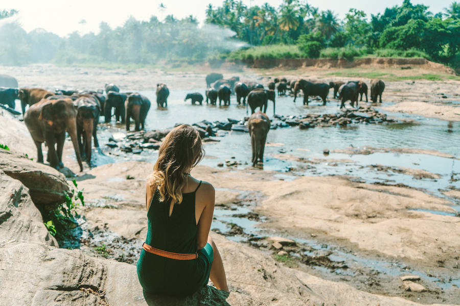 Viajes a los mejores destinos del mundo: Sri Lanka
