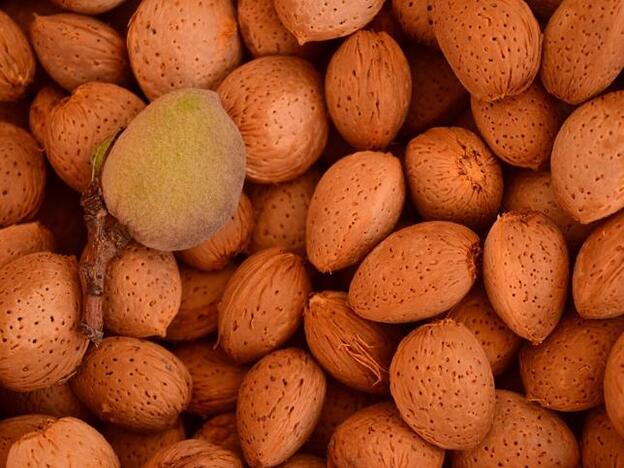 Cinco alimentos súper adelgazantes