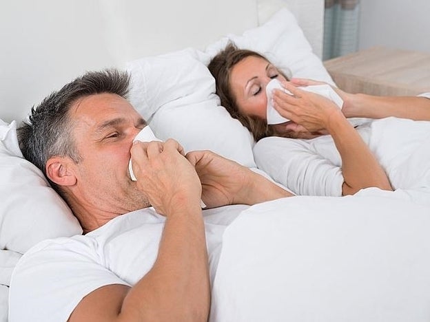 Gripe: prevención y tratamiento