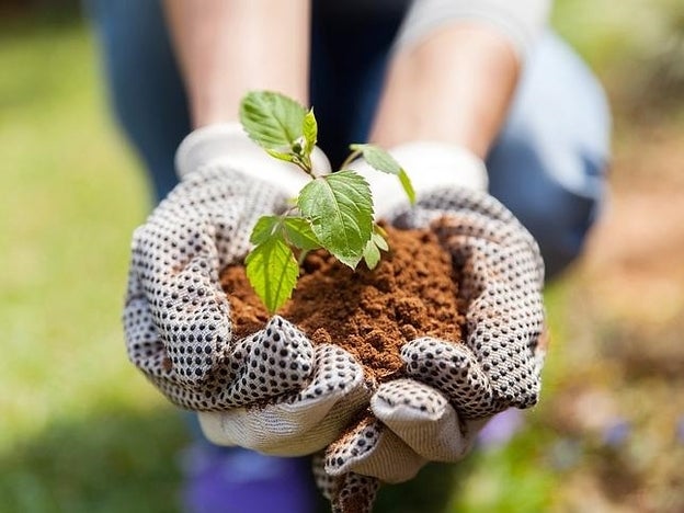 Tu huerto urbano para una vida más sana