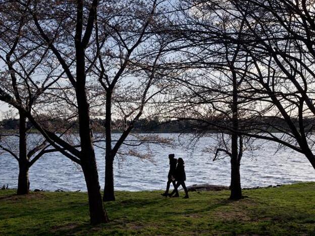 Cinco buenas razones para caminar a diario