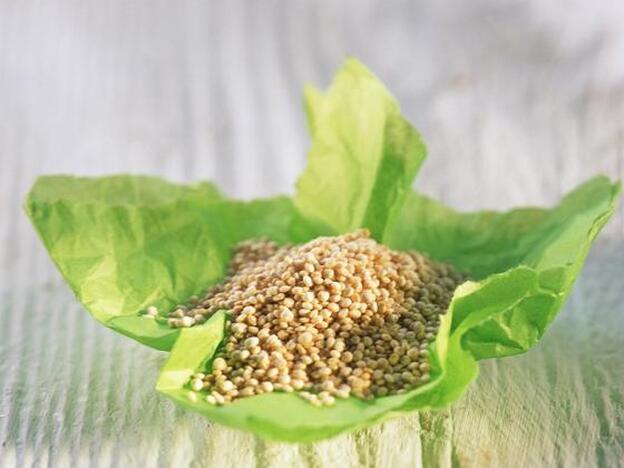 Vuelve la quinoa... con más fuerza