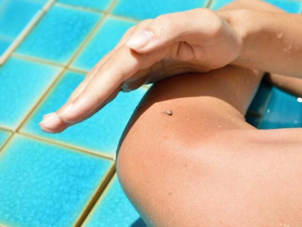 Cómo evitar las picaduras de los mosquitos