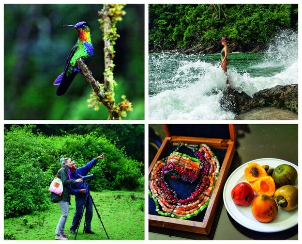 1. Colibrí en una reserva en Alajuela.  2. playa Dominical.. 3. avistamiento de aves 4. joyas de María Eugenia Brenes, que imitan la coloración de la fruta pejibaye.