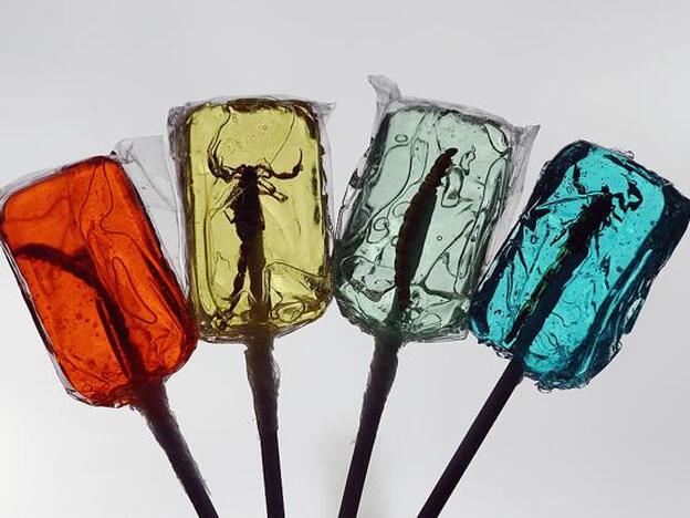 En tu dieta del futuro habrá insectos