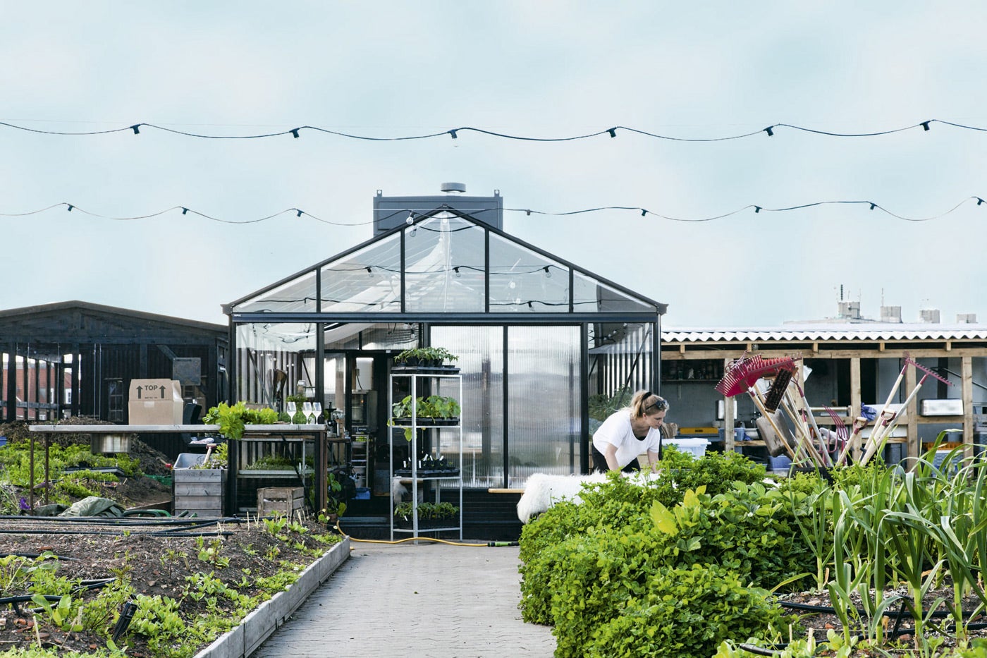 Descubre los secretos para disfrutar de la temporada gastronómica