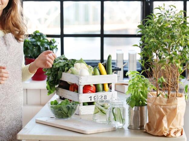 Guía de restaurantes vegetarianos y veganos: