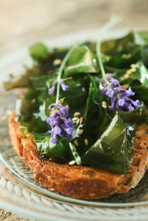 Alimento magnífico 7: Alga Kelp