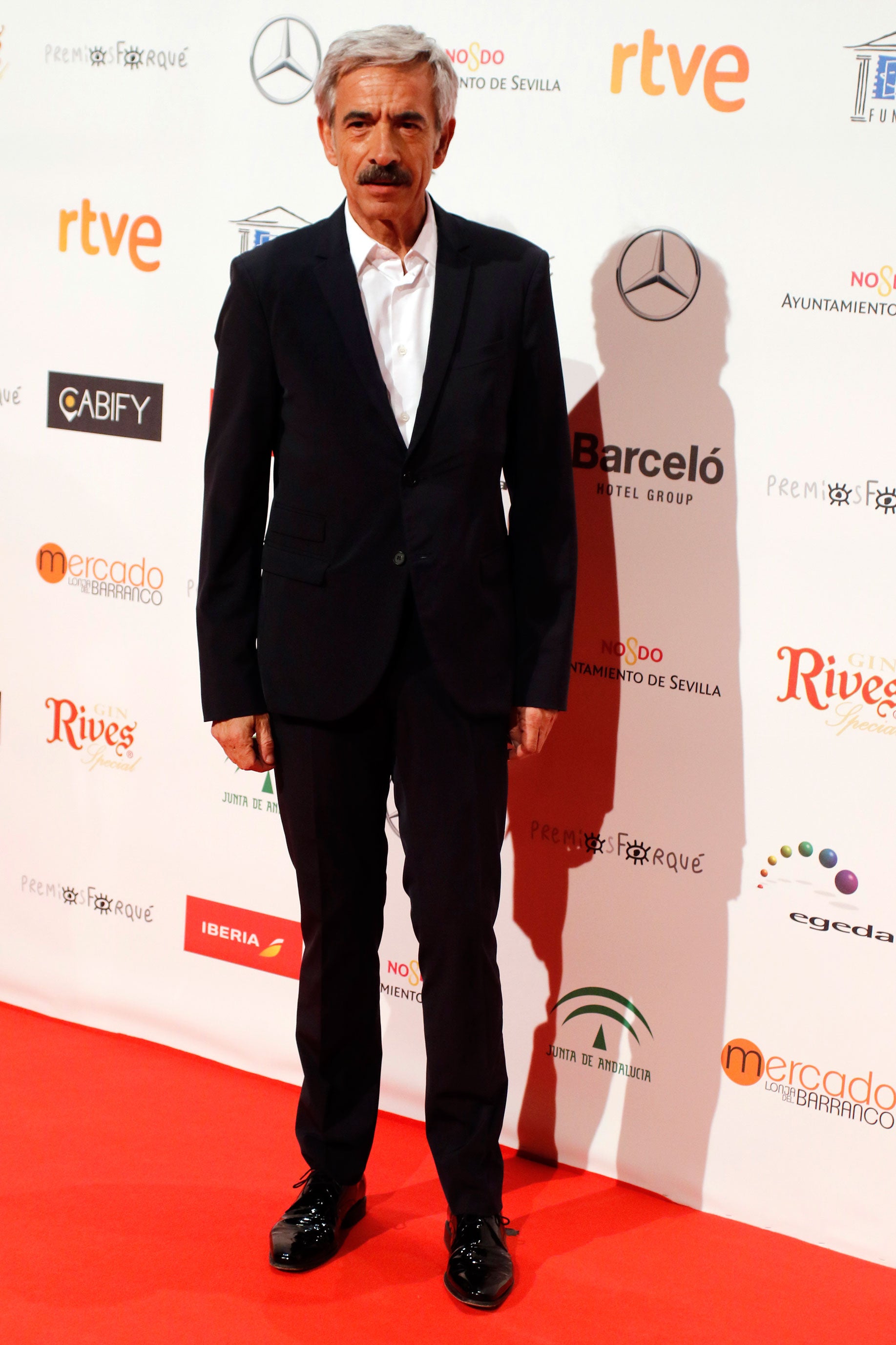 La alfombra roja de los Premios Forqué 2017