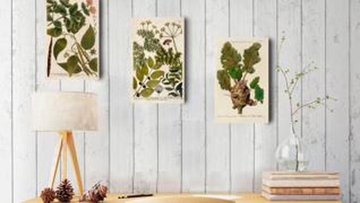 33 Ideas en verde 'greenery' para la decoración de tu casa