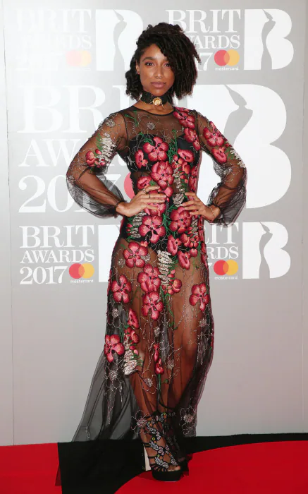Los looks de los Brit Awards: Lianne La Havas