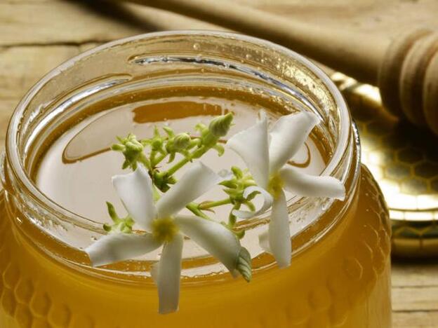 El poder de la apiterapia