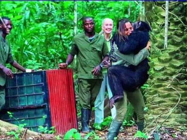 Rebeca, en una captura de vídeo, liberando a un ejemplar adulto con Jane Goodall.