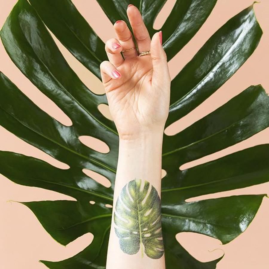 La hoja de la Philodendrom y otras pistas con estilo