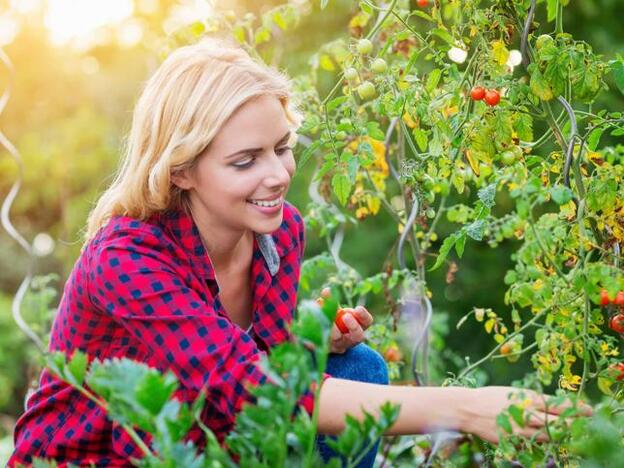 Los cinco beneficios probados de invertir en alimentos ecológicos