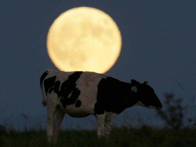 Energías, rituales y deseos en el día del eclipse total