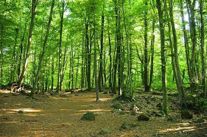 Los rincones más románticos para recuperar la pasión: