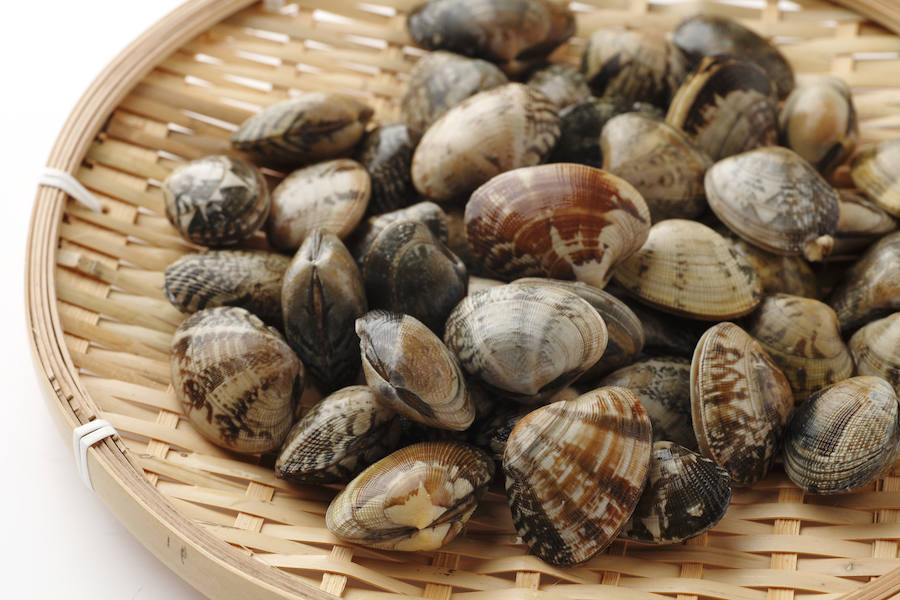 Alimentos para evitar la caída del cabello: almejas