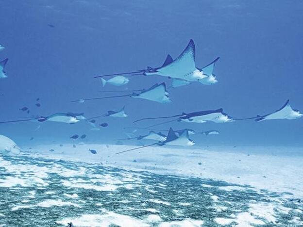 Diez maravillosos destinos turísticos que quizá no conozcas