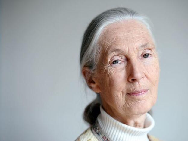 Jane Goodall, contra la arrogancia