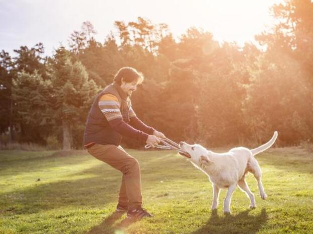 Es oficial, tener un perro es bueno para la salud