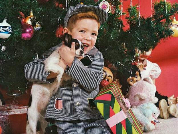 Mascotas, por Julia Navarro