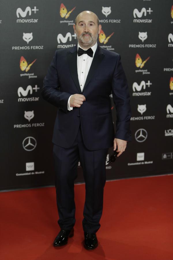 Premios Feroz 2018: Javier Cámara