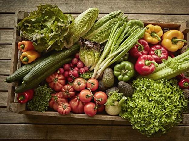 Recetas con verduras para toda la familia