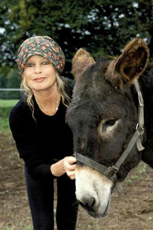 Brigitte Bardot posa con un burro./getty images.