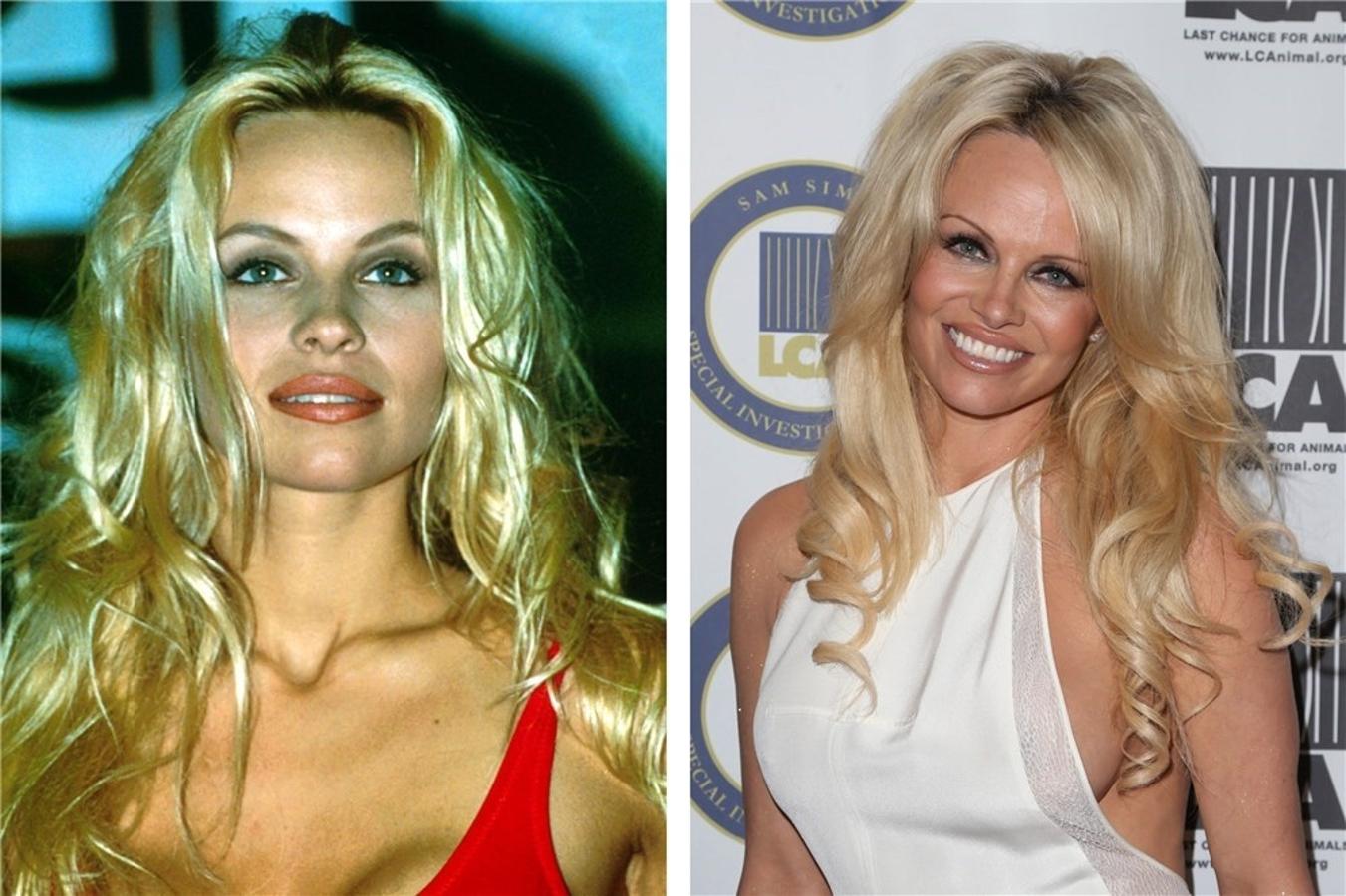 Pamela Anderson