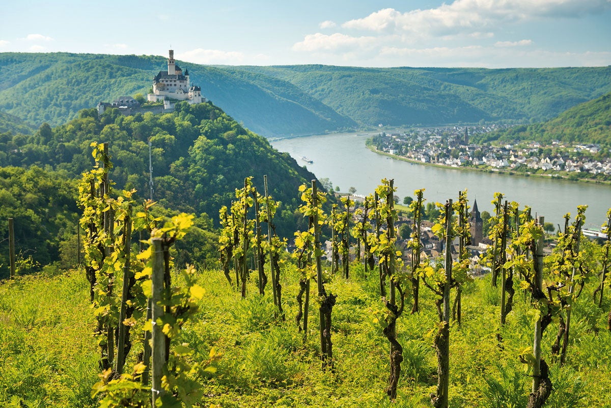 Los seis viajes en tren más bellos de Europa: entre los viñedos, a orillas del Rhin