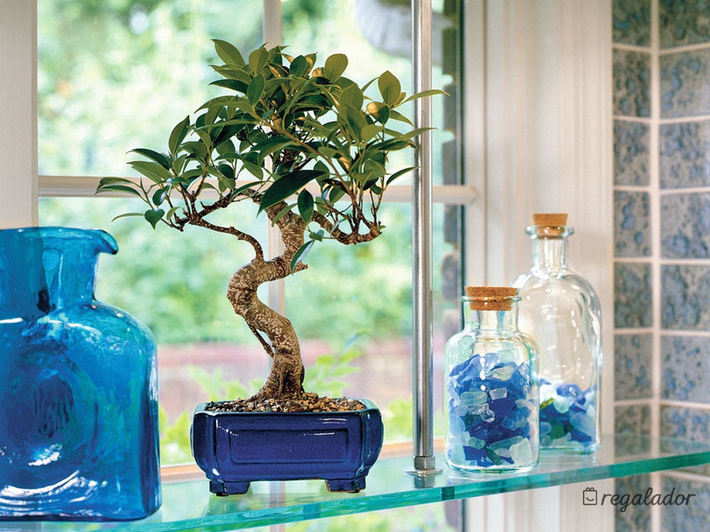 Día de la Madre: Regalos para mamás que son abuelas