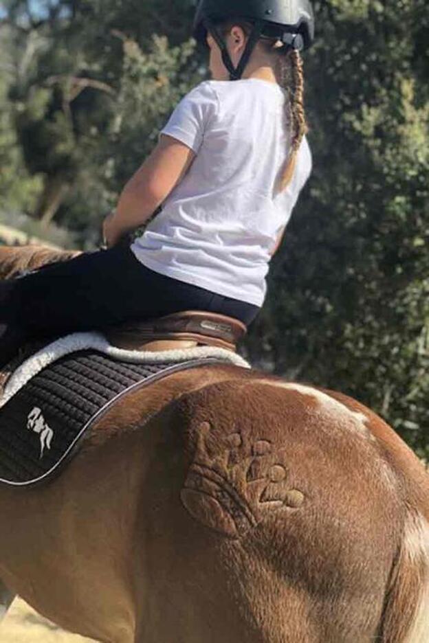 Los animalistas se le echan encima a Victoria Beckham por esta foto. ¿Por qué?