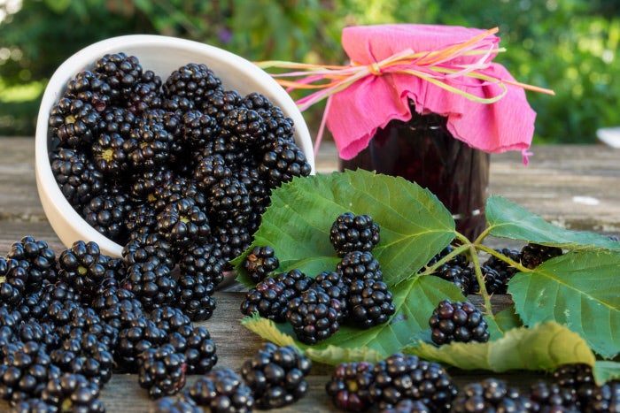 Los mejores alimentos para evitar la celulitis