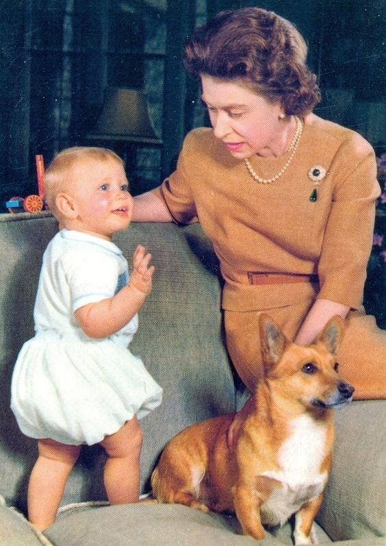 La gran historia de amor de Isabel II con sus 'corgies'