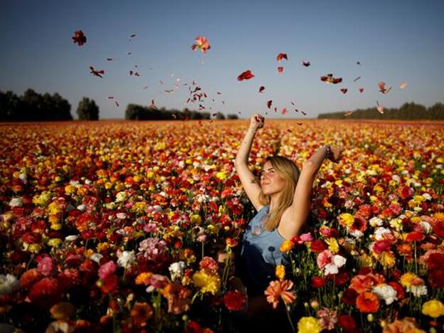 Plantas para subirte el ánimo