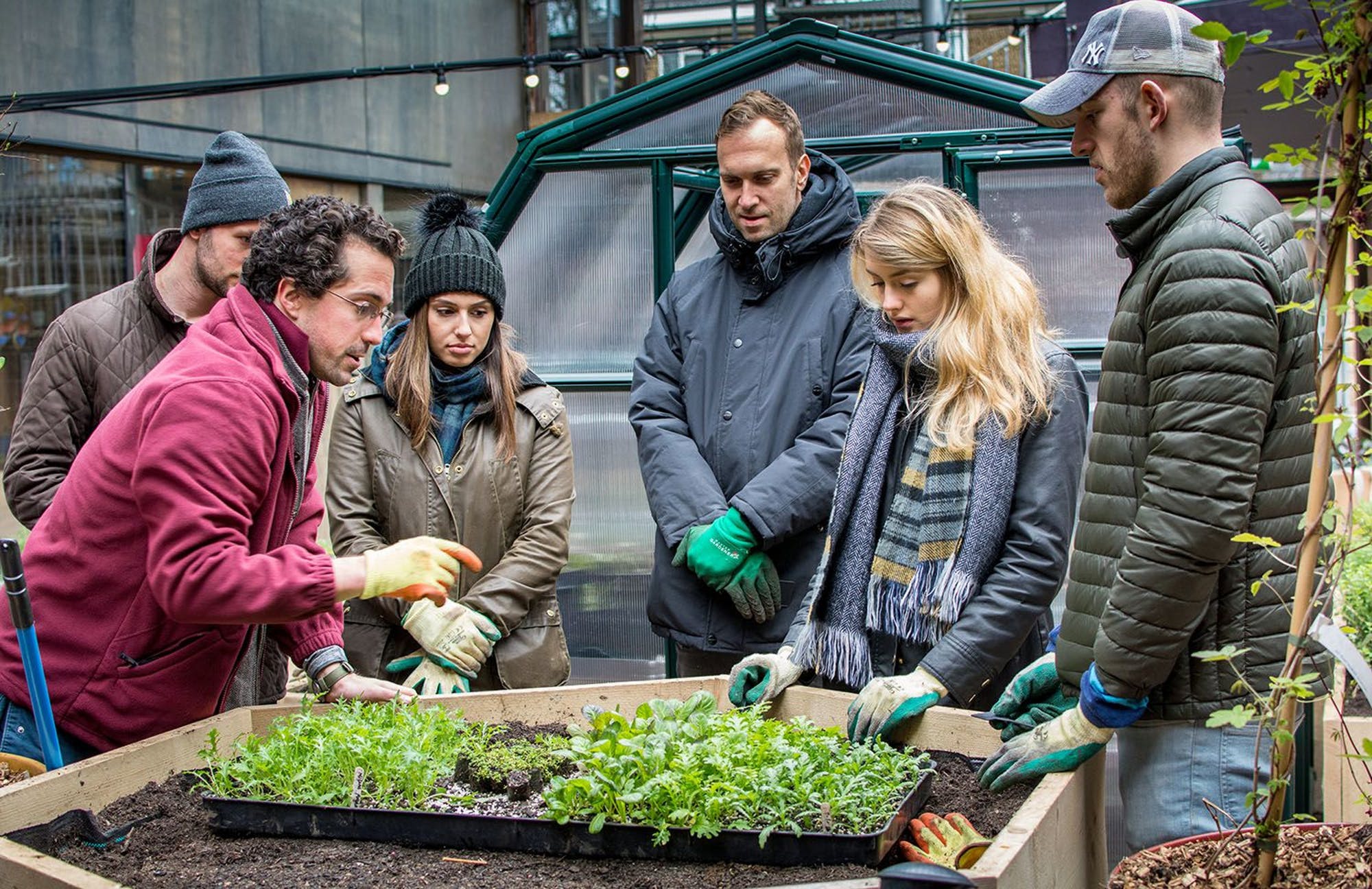 Siembra y cultivo de plantas en Londres