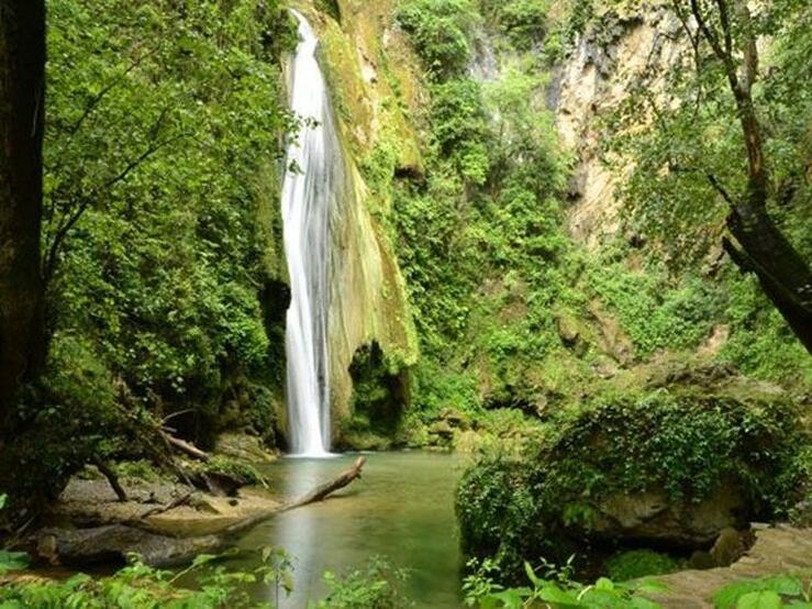 Viajes solidarios y voluntariados para proteger el medioambiente