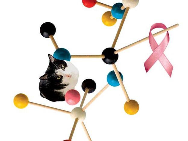 Luz contra el cáncer de mama, por Espido Freire