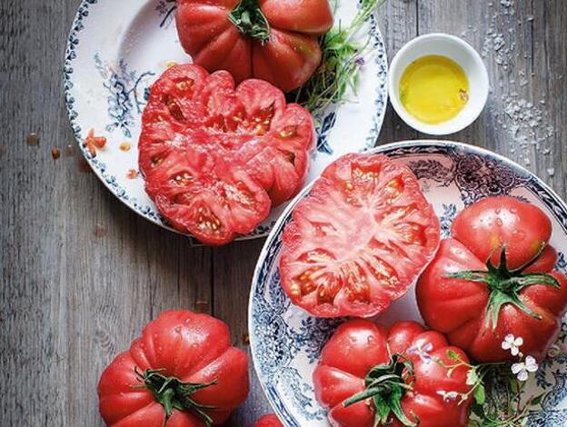 Especial gourmet: tomates que saben