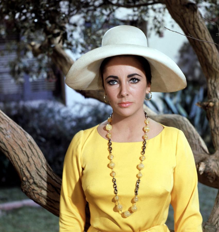 Elizabeth Taylor, un icono