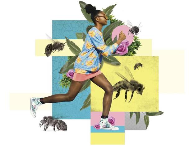 El peligro de las picaduras de insectos