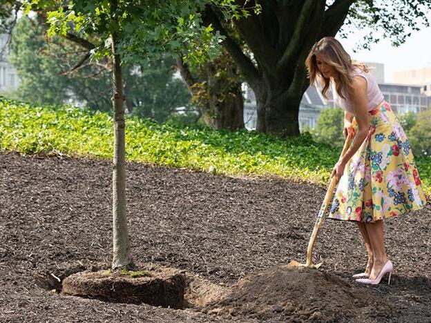 Melania Trump en el momento en que planta el esqueje en el jardín presidencial.