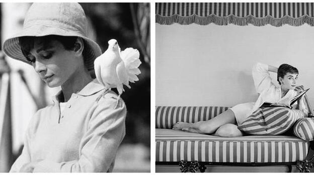 Hepburn con paloma (1966), de Terry O’Neill y sesión de Mark Shaw para la revista Life, en 1954.