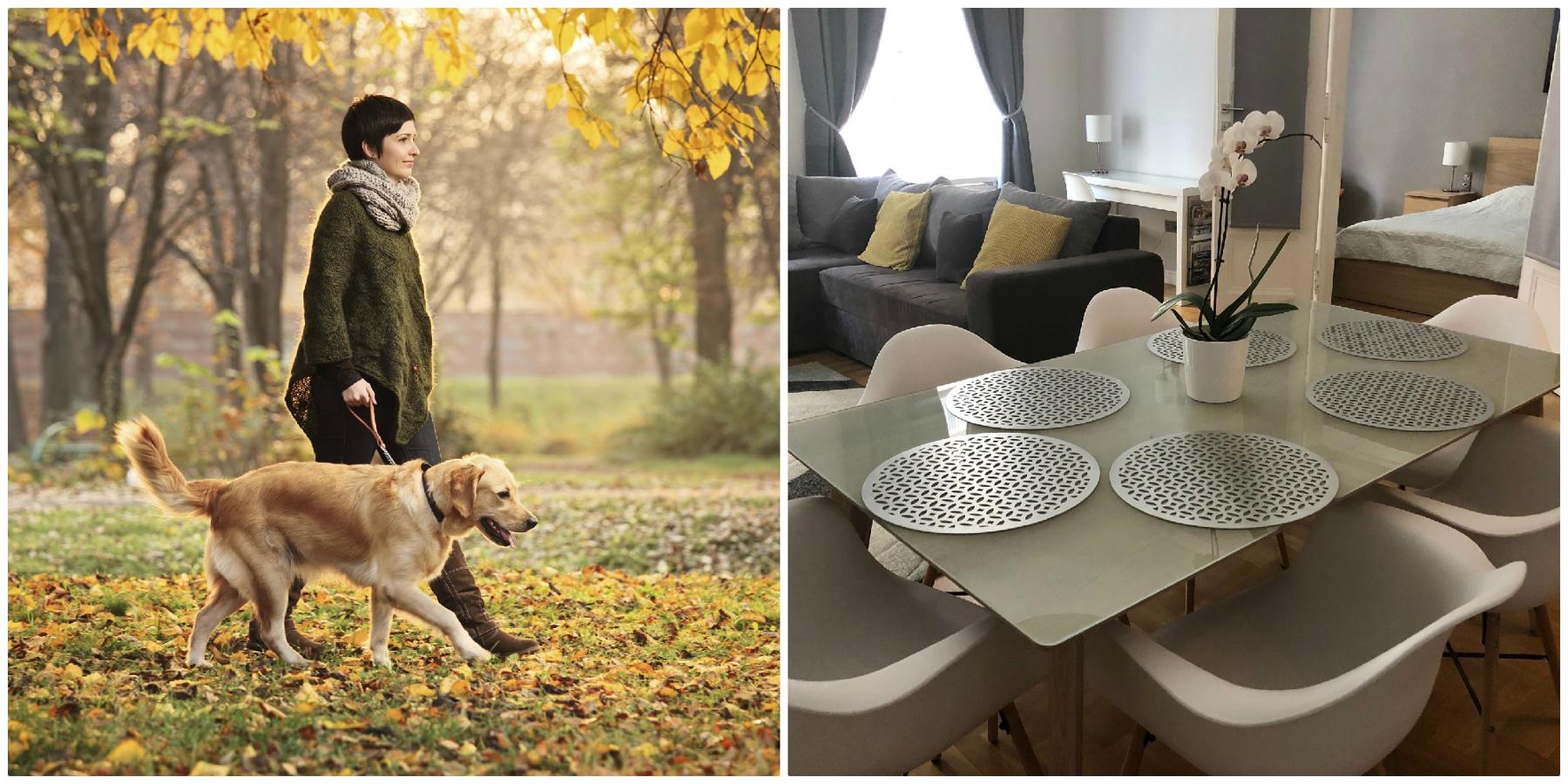 Los mejores destinos 'pet friendly' para tus viajes con mascota