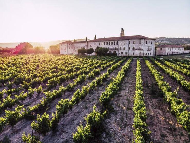 Planes de otoño para amantes del vino: viajes a la vendimia