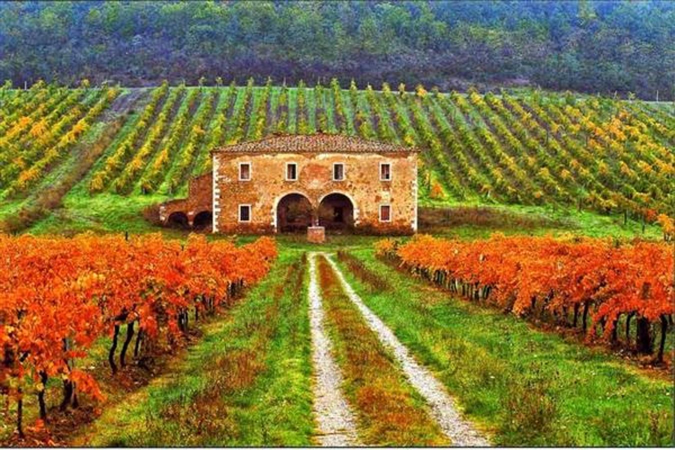 Recorre los colores de La Toscana