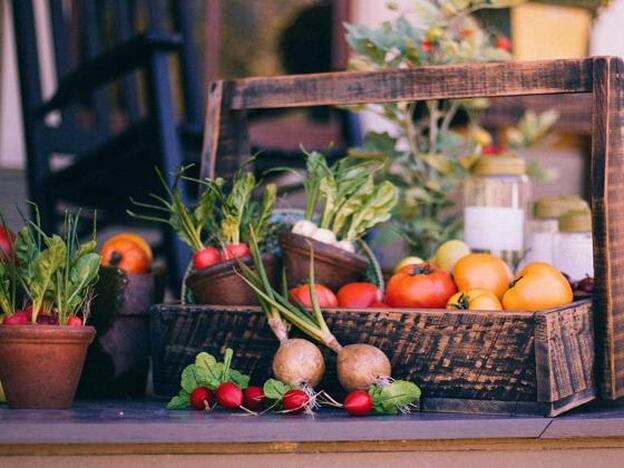 Verduras y hortalizas: lo que ahora tiras puede curarte
