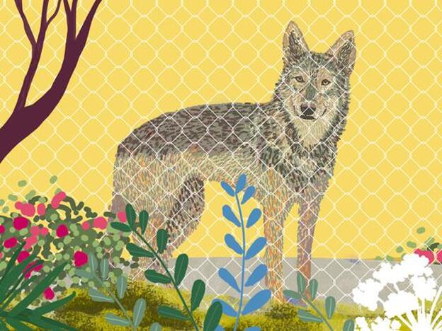 "Perros floreros", por Pina Graus