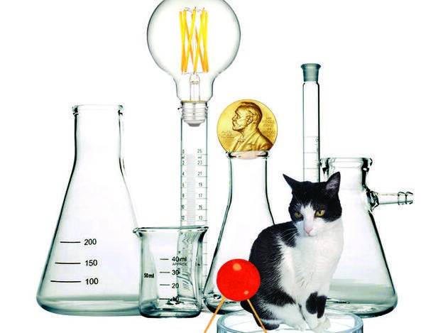 Mi gata y la Nobel de Física